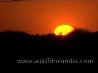 Time lapse of Sunset in Rajasthan