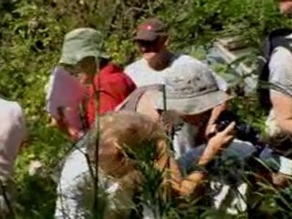 Présentation des jardins de Sortilège