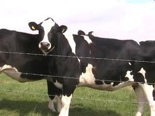 Wo gehts zum Fußball??