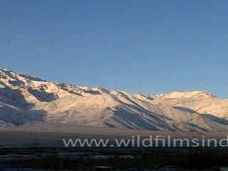 Ladakh land of High passes