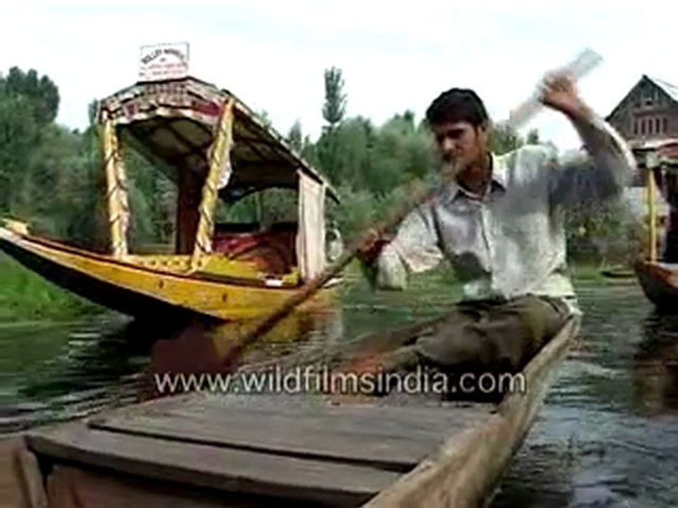 Kashmiri Shikara on the Dal