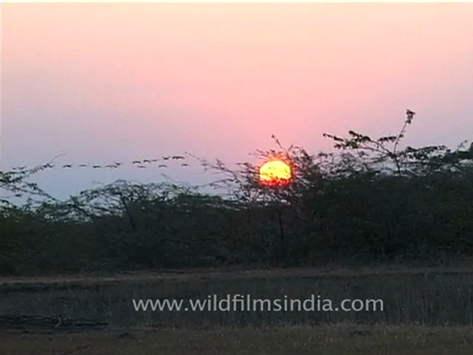 Sunset in Gujarat