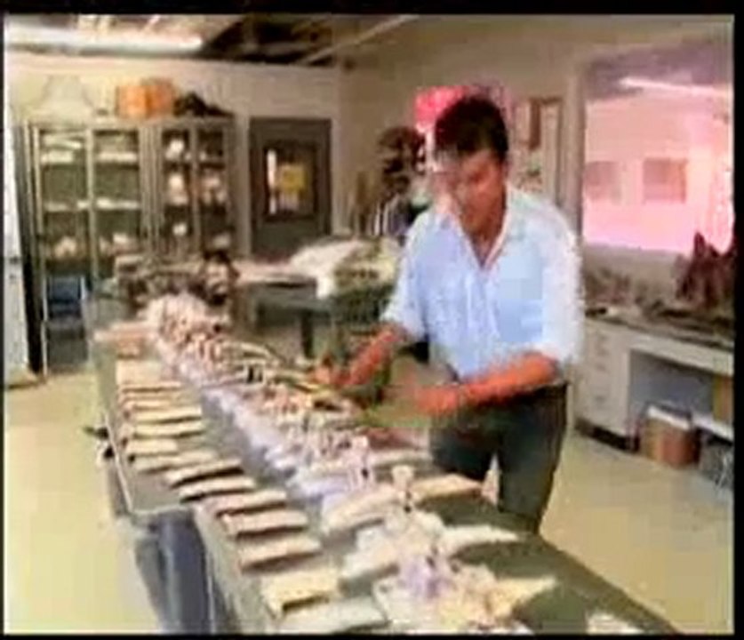 Canlılar yaratılmıştır