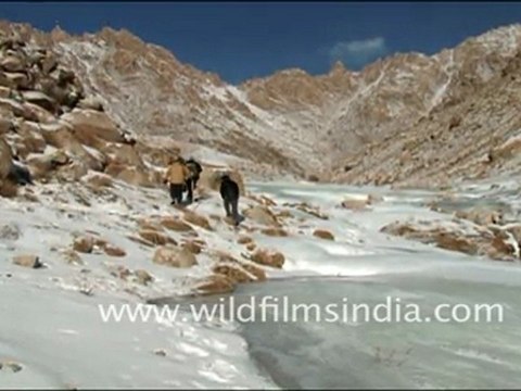 Landscapes in Ladakh