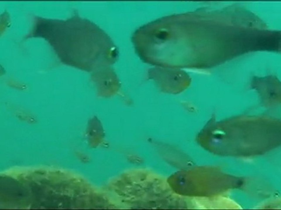 Under water_tape_3a-00-56-56-06