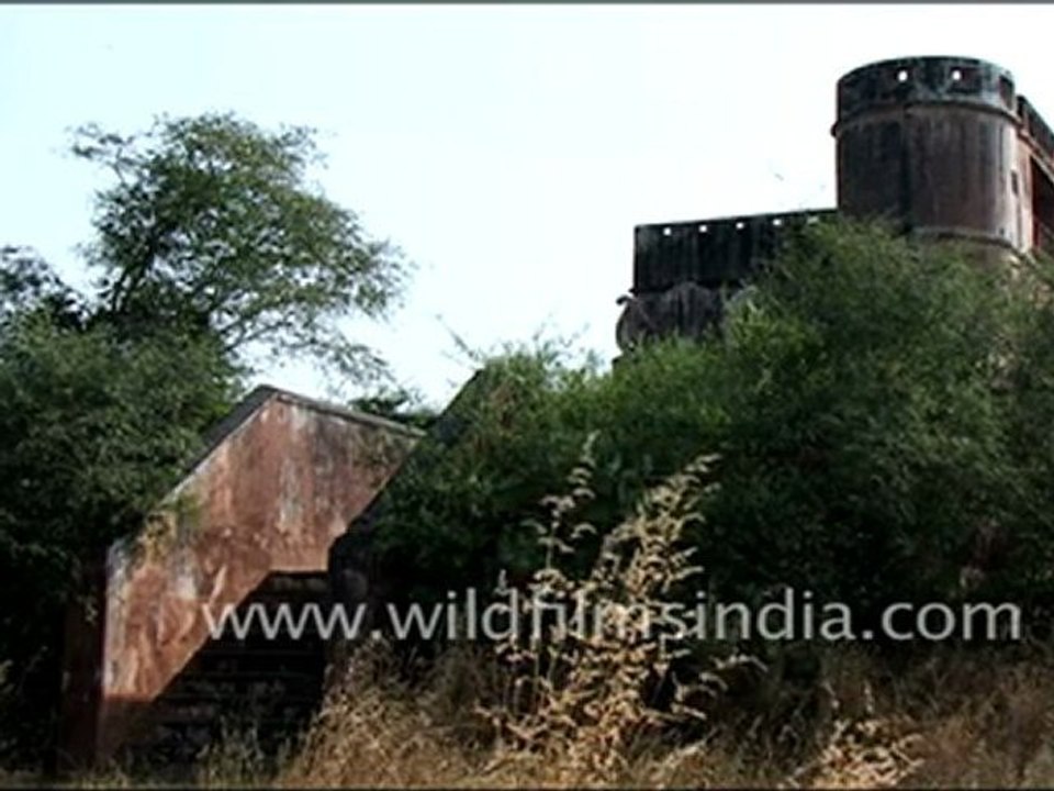 Structure Built in Jaisamand