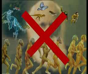 Yaşayan fosiller: Çınar yaprağı