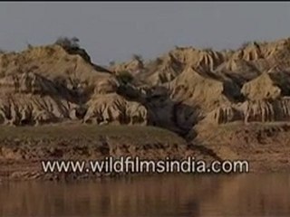 Small hills in chambal-MPEG-4 800Kbps