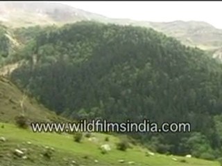 Beautiful hills-MPEG-4 800Kbps