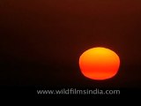 Sunset over the Arabian sea