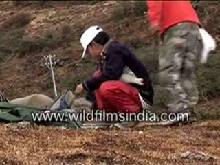 Back on the track(trekkers)-MPEG-4 800Kbps