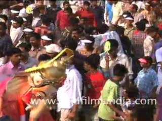 Elephant Festival in Kerala Part 6