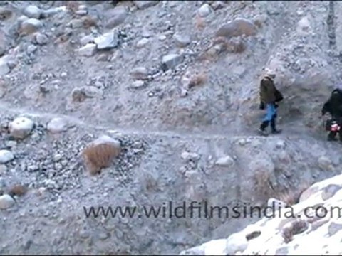 Tourists trekking in Ladakh