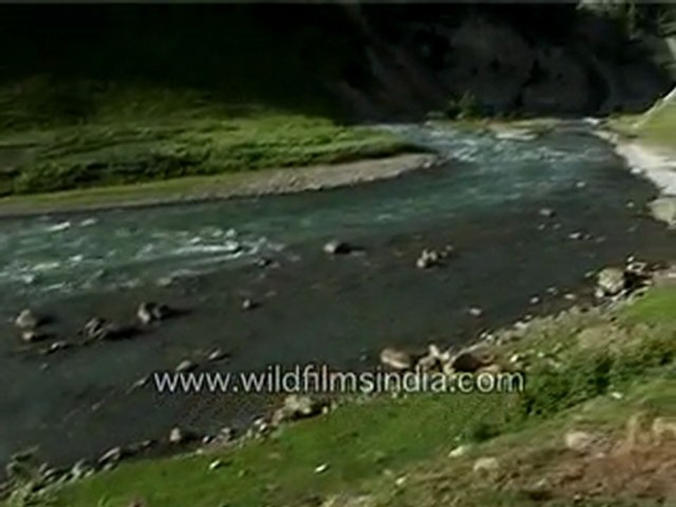 A River is Flowing