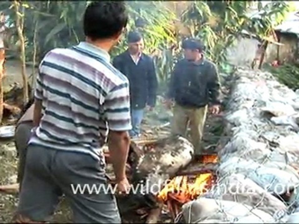 Burning a pig after sacrifice in Lower Dibang valley