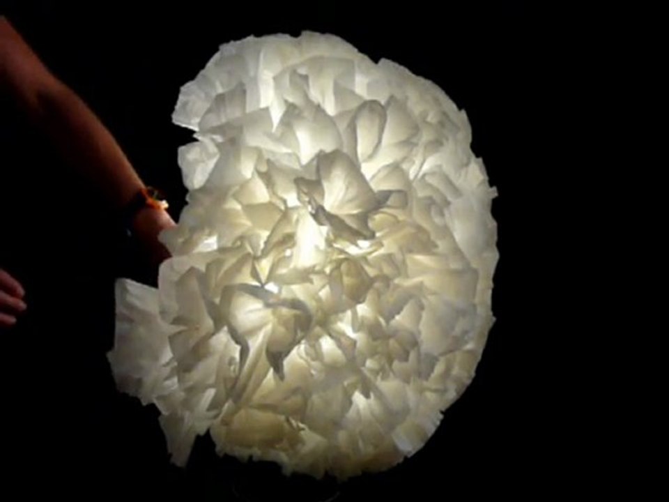 Fourmis Bleues - Montage Ouka - Moo'v Deco System