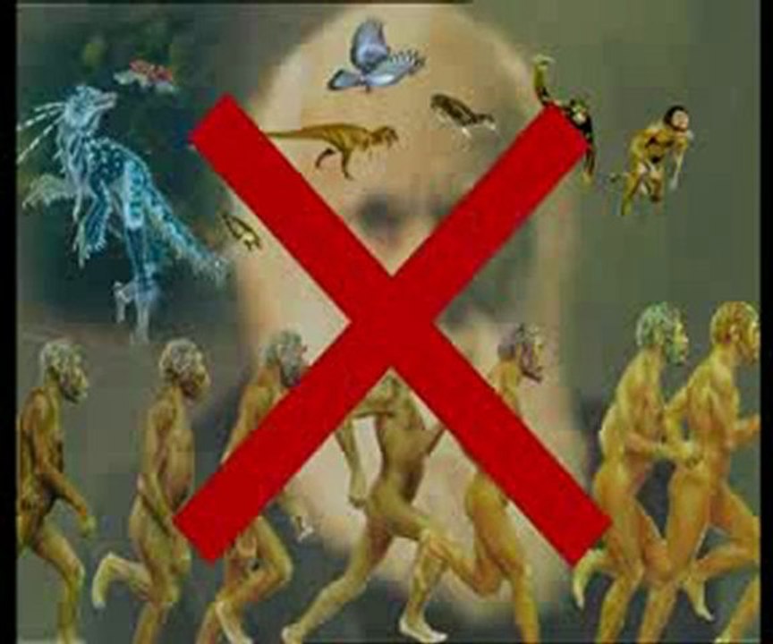 Yaşayan fosiller: Köpekbalığı