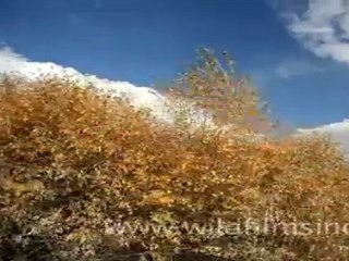 Stark landscape of Ladakh