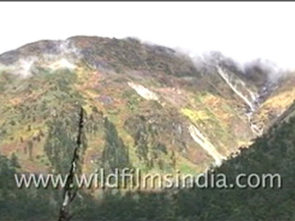 Landscape in Sikkim