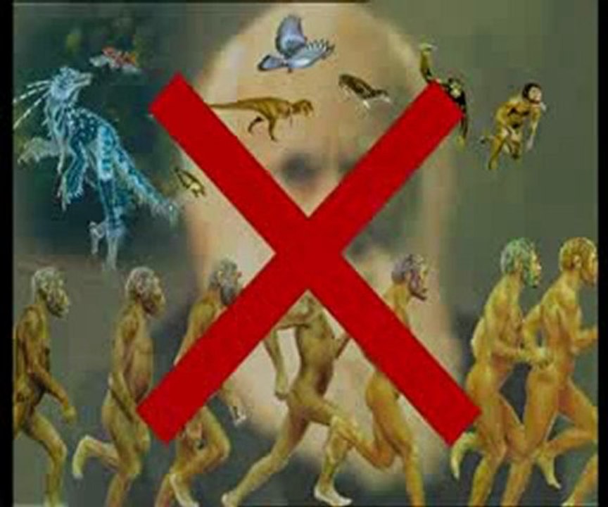 Yaşayan fosiller: Timsah