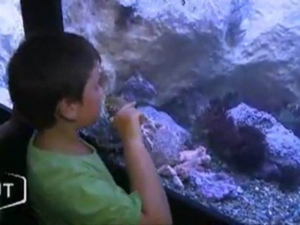 Vacances dans les sites touristiques couverts (Vendée)