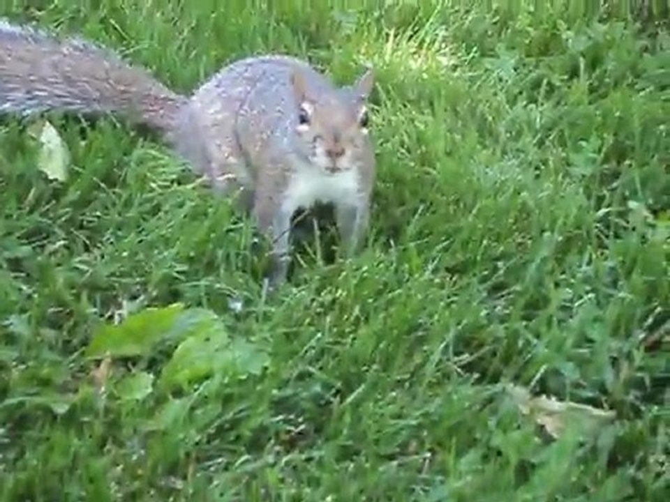 MOV00635