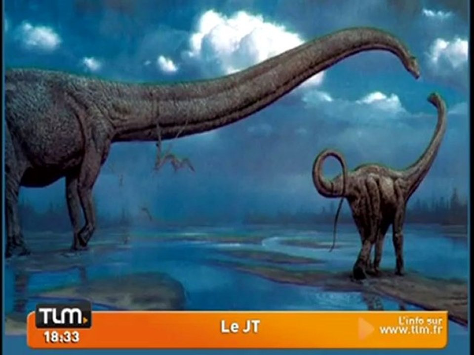 Record du monde de traces de dinosaure‎ (Ain)