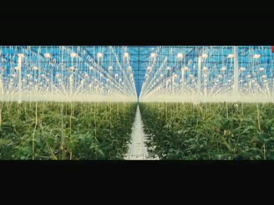 Nous resterons sur Terre ... si nous le voulons bien ...