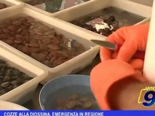 Descargar video: Regione Puglia | Cozze alla diossina, emergenza in regione