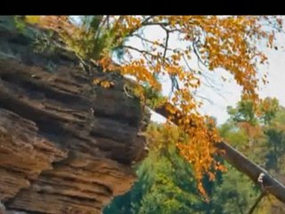 Am lia Rodrigues -  tudo isto   fado