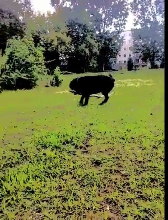 BisZeehn muss i DrinSeein