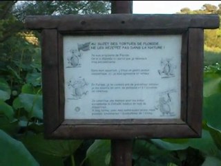 Etang de Fontmerle, Mougins - 240711