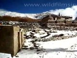 Snow capped mountains in Ladakh