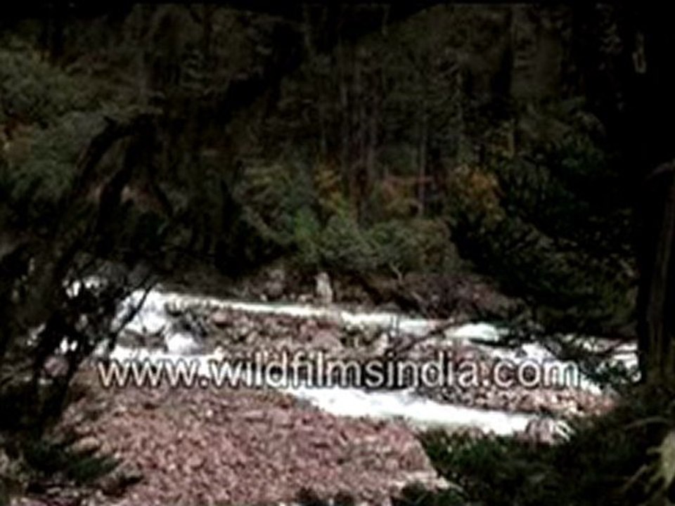 Sikkim