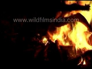 Man roasting a langur for dinner!