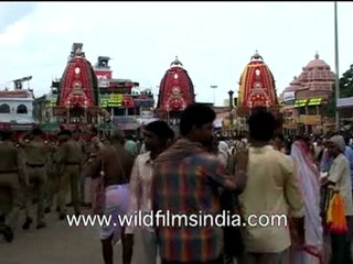 Devotees in Jagannath Rath yatra