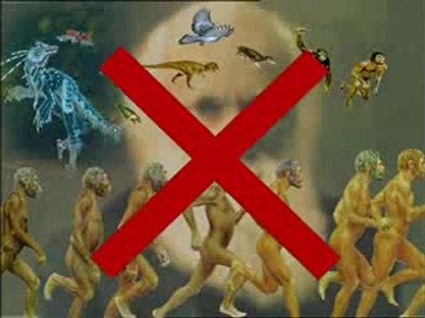 Yaşayan fosiller: Yarasa