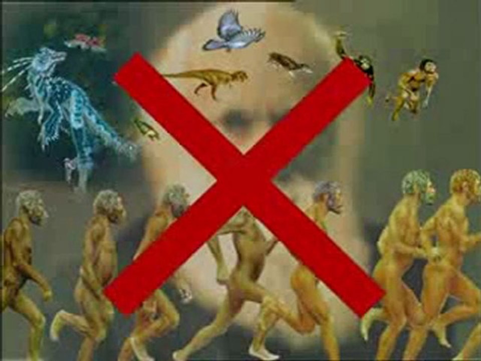 Yaşayan fosiller: Yarasa