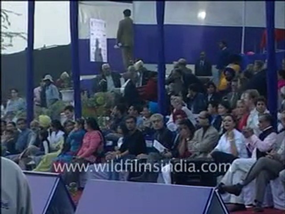 Delhi Horse polo