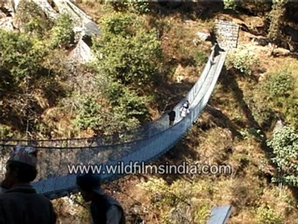 Hanging Bridge