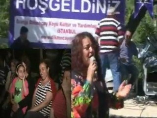 Aslı Asiye Ergül-Çamşıhı Türküleri