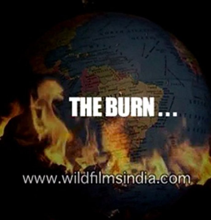stop .....the burn-MPEG-4 800Kbps