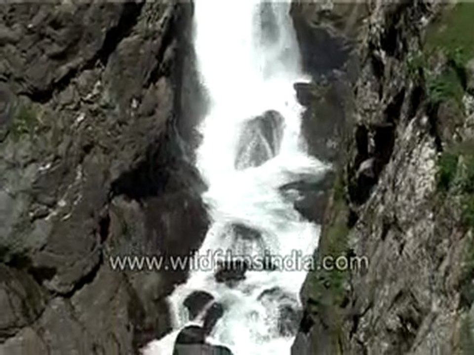 Water Finding Its Way