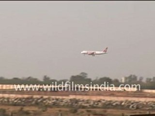 Plane landing at Delhi Airport