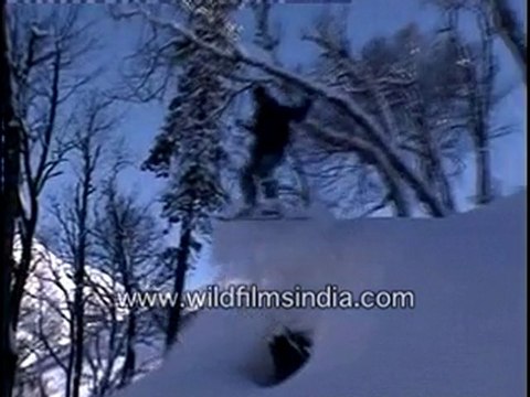 Heli Skiing in the Himalayas