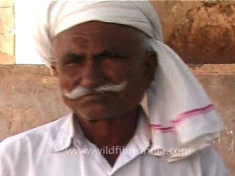 Moustache of Maldhari Man in Gujarat