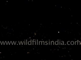 Night Shot of Delhi