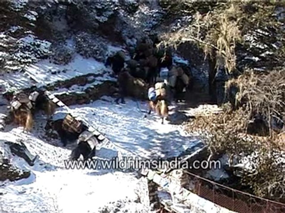 Bridges In Rural Area