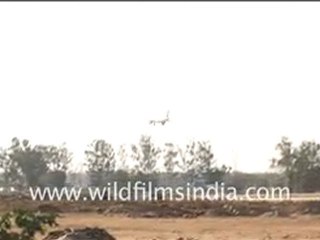 Plane landing at Delhi Airport