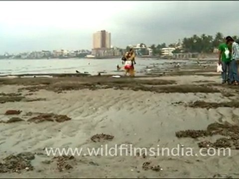 Idols Immersed, Mumbai